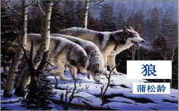 关于《狼》的读后感精选6篇