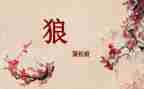关于《狼》的读后感推荐5篇