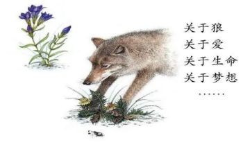 狼王梦第四章读后感7篇
