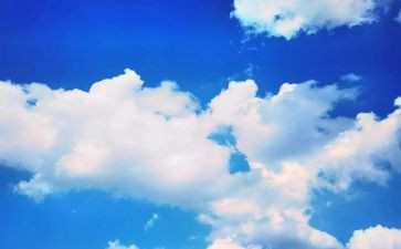 我爱蓝天作文6篇