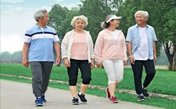 2024年老年活动总结范文8篇