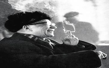 老舍的《养花》读后感5篇