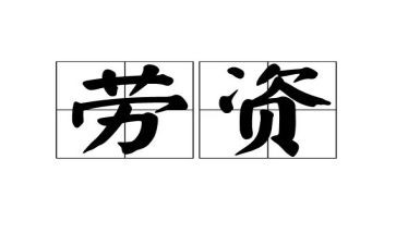 劳资员的工作总结8篇