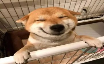 乐观积极演讲稿6篇