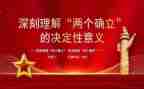 两个确立和两个维护心得体会200字6篇