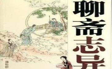 聊斋《狼》读后感模板7篇
