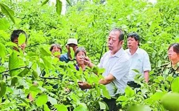 李保国的事迹心得体会8篇