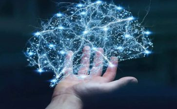 中班科学领域教案6篇
