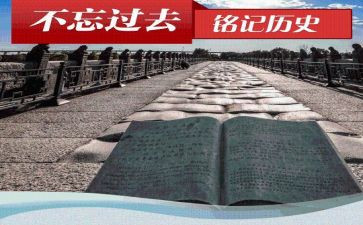 历史组个人总结推荐7篇