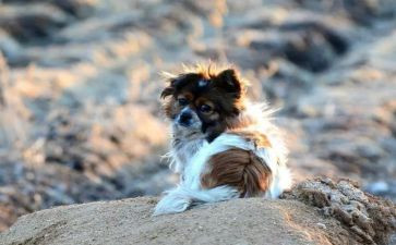 流浪地球1读后感推荐7篇