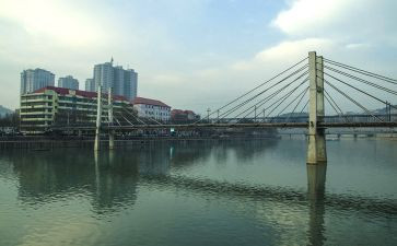 读柳林风声的读后感500字6篇