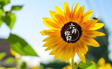 幼儿园小班六月份工作总结范文5篇