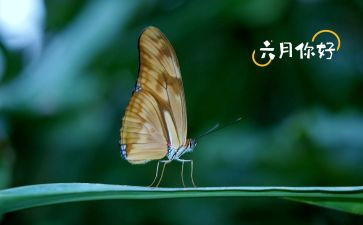 六月份工作总结推荐7篇