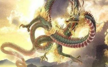 龙说读后感800字精选5篇
