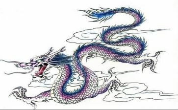 沙龙活动的总结8篇
