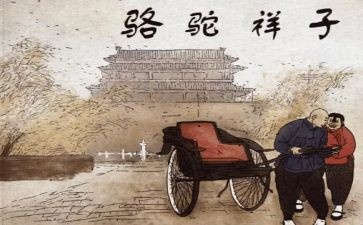 骆驼群读后感优质6篇
