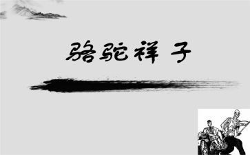作文骆驼祥子读后感精选5篇