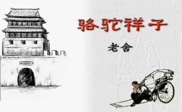骆驼祥子心得体会最新8篇