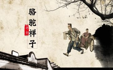 作文骆驼祥子读后感优秀5篇