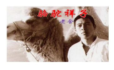 作文骆驼祥子读后感7篇