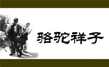 骆驼祥子第三章阅读后感8篇