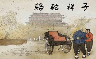 作文骆驼祥子读后感400字8篇