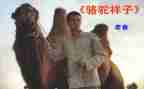 作文骆驼祥子读后感300字6篇