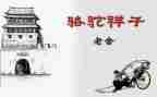 作文骆驼祥子读后感500字7篇