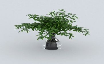 2024年绿色家庭主要事迹5篇