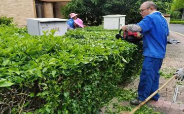 2023年学校绿化工作计划7篇