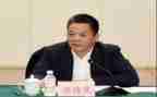 20231年律师个人总结精选8篇