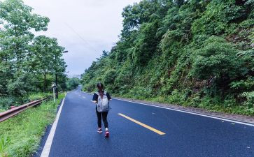 旅行社半年总结6篇