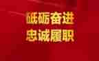 教师年度个人履职考核总结8篇