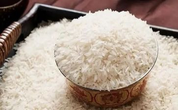 卖米读后感6篇