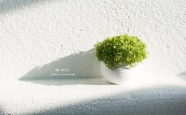 慢阅读演讲稿6篇