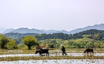 忙优秀作文600字优质6篇