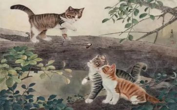 野猫的城市大班教案8篇