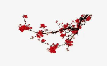 梅花的作文500字作文8篇