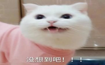 作文我真没想到600字8篇