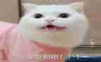 作文我真没想到600字8篇