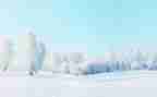 冬天的第一场雪作文600字6篇