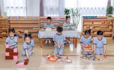 蒙氏幼儿个人总结模板8篇