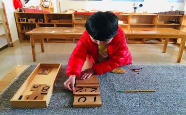 蒙氏教学学期总结优质8篇