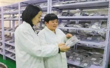 蒙医个人总结优质6篇
