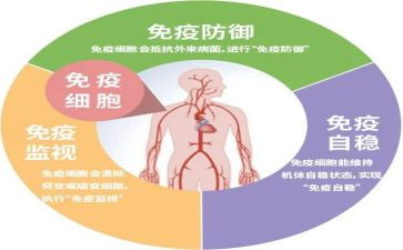 2024免疫规划工作总结5篇