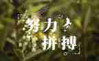 读后感名人传600字通用6篇