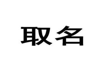 名字的来历作文300字8篇
