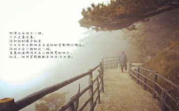 初中《目送》读后感7篇