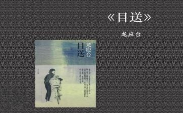 作文目送的读后感8篇