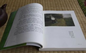 目送读后感700字6篇